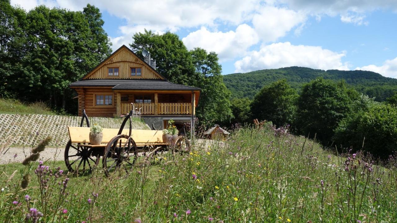 Bieszczadzkie Marzenie Wetlina Hotel ภายนอก รูปภาพ