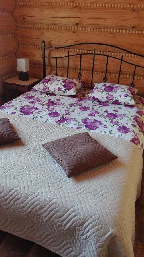 Bieszczadzkie Marzenie Wetlina Hotel ภายนอก รูปภาพ